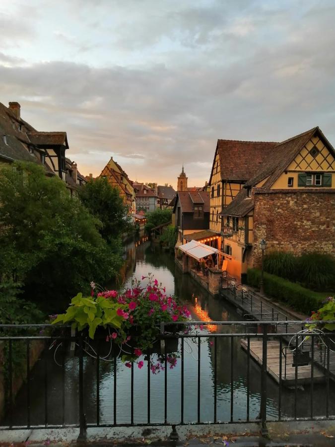 Apartamento La Cour De Berthe Ouest Colmar Exterior foto